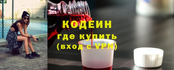 индика Абаза