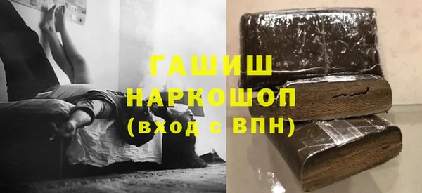 индика Абаза