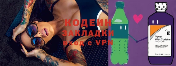 индика Абаза