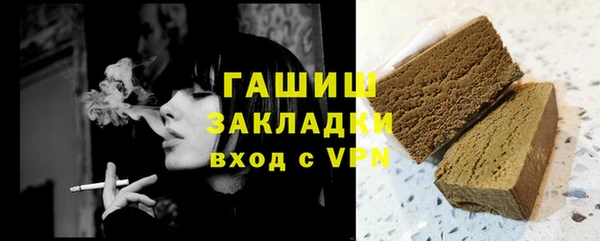 индика Абаза
