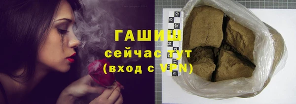 молекула духа Ладушкин