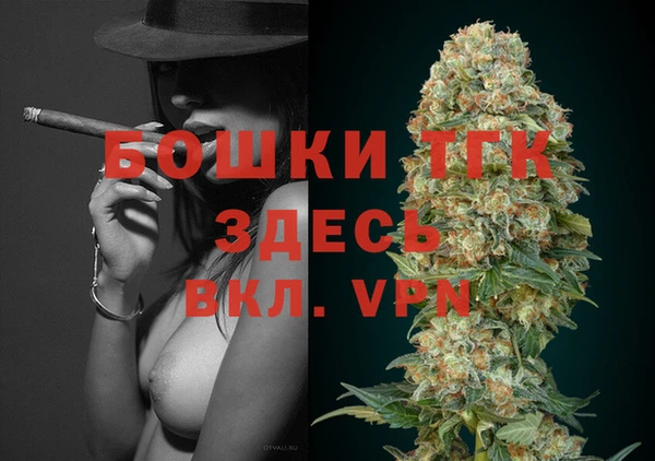 индика Абаза