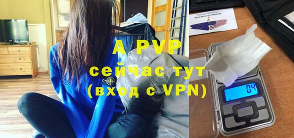 индика Абаза