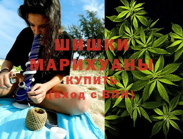 крисы Лагань