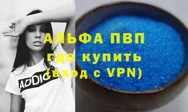 индика Абаза