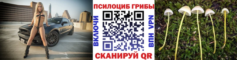 Галлюциногенные грибы прущие грибы Батайск