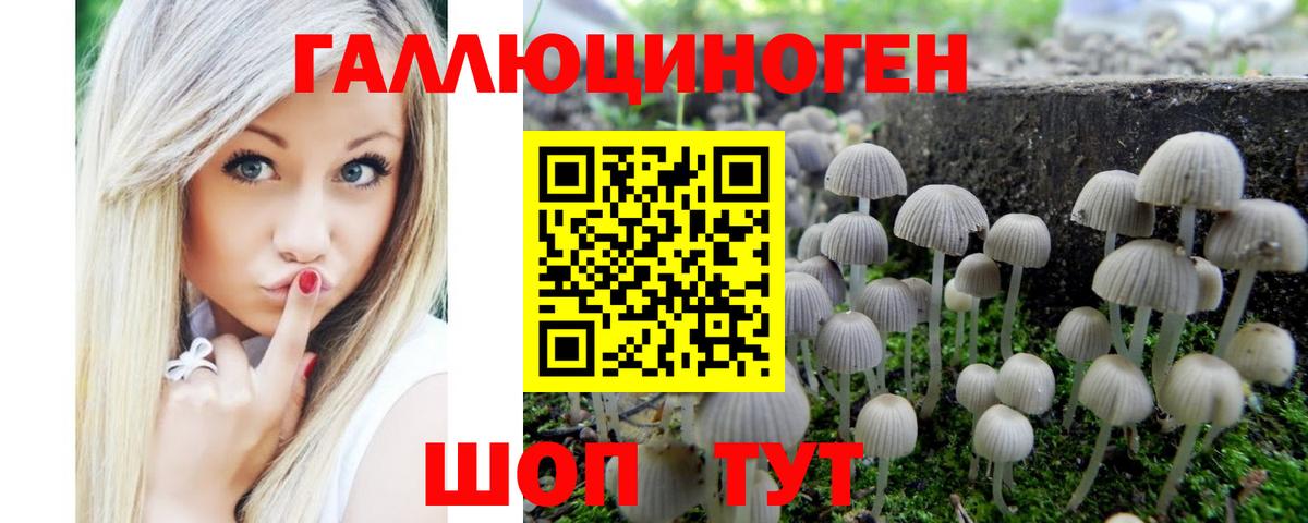 Батайск  Псилоцибиновые грибы мухоморы  Вход с VPN 