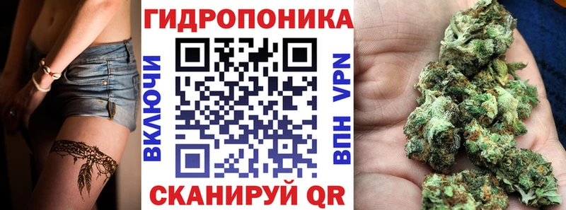 Бошки марихуана марихуана  Батайск 